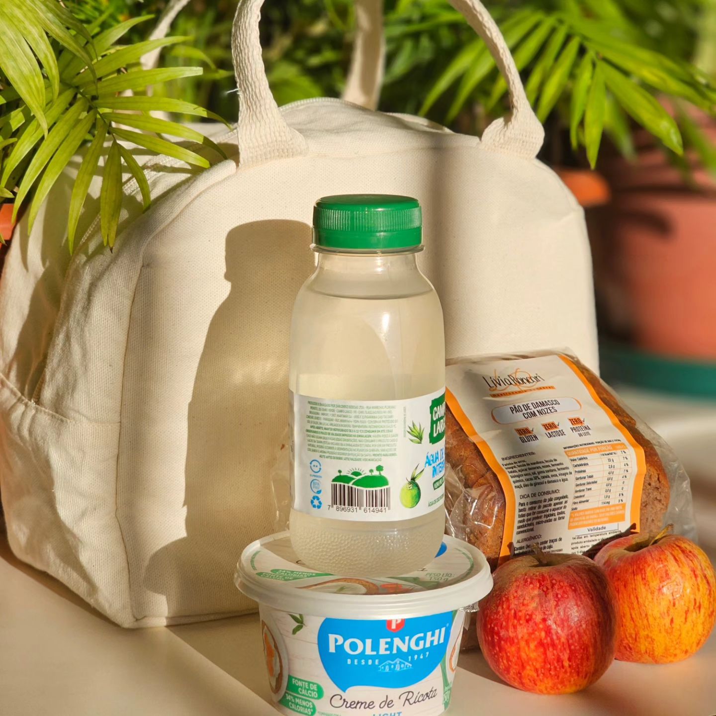 Térmica Ecológica em Lona de Algodão Cru e Forro Térmico Metalizado - Ref.: Pinguim